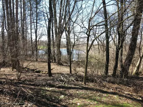 1481 W Webb Rd, Dewitt, MI 48820 photo 7
