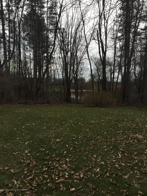 1481 W Webb Rd, Dewitt, MI 48820 photo 6
