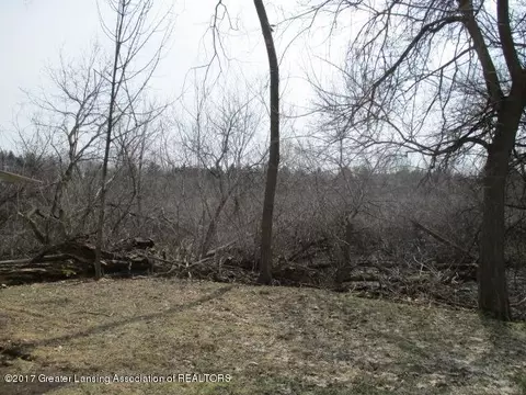 1351 Hickory Is, Haslett, MI 48840 photo 12