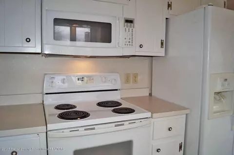 403 W Madison, Dewitt, MI 48820 photo 12