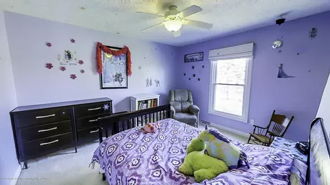13959 Beardslee Rd, Perry, MI 48872 photo 17