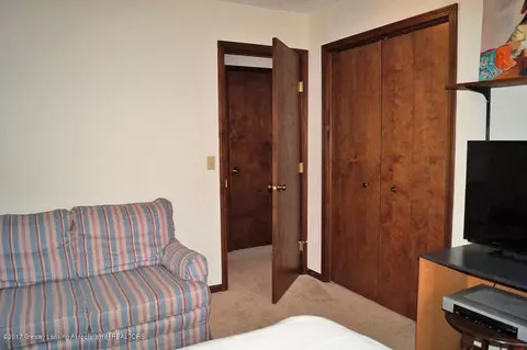 167 E Newman Rd, Williamston, MI 48895 photo 32