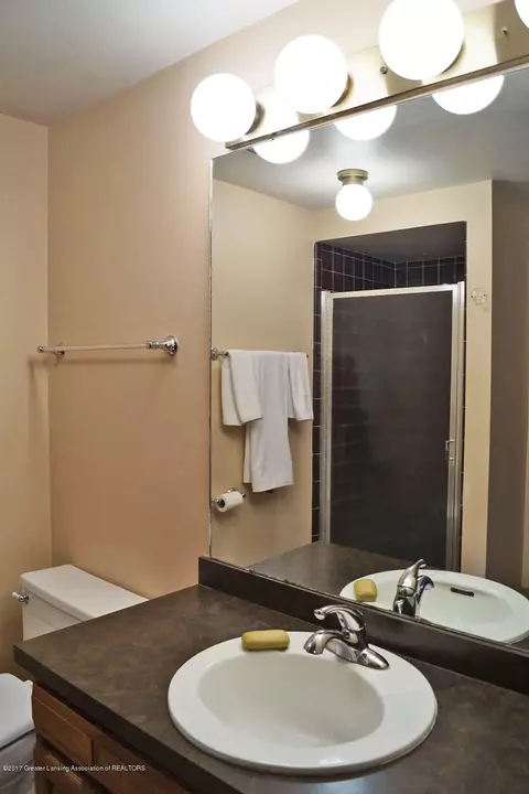 167 E Newman Rd, Williamston, MI 48895 photo 26