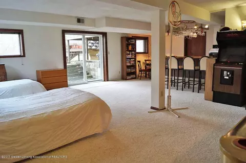 167 E Newman Rd, Williamston, MI 48895 photo 38