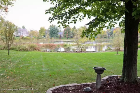 1311 Poppy Ln, Dewitt, MI 48820 photo 42