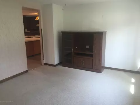 710 Birchwood St, Dewitt, MI 48820 photo 5