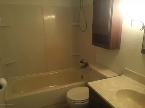 710 Birchwood St, Dewitt, MI 48820 photo 9