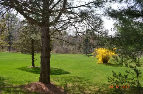 5805 Shoeman Rd, Haslett, MI 48840 photo 4