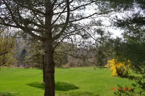 5805 Shoeman Rd, Haslett, MI 48840 photo 20