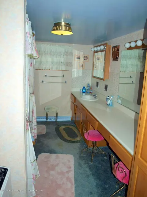 225 N Franklin St, Maple Rapids, MI 48853 photo 14