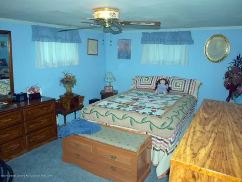 225 N Franklin St, Maple Rapids, MI 48853 photo 13