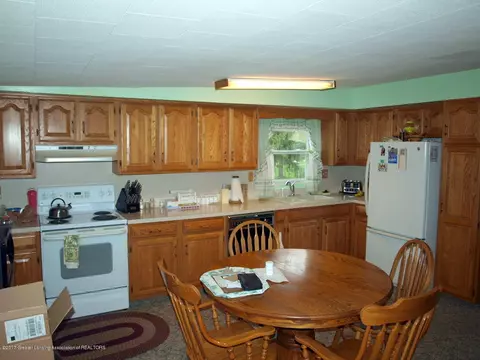 225 N Franklin St, Maple Rapids, MI 48853 photo 10