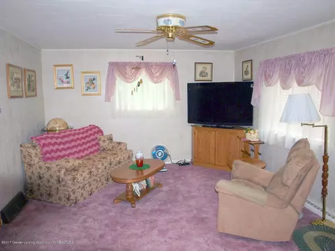 225 N Franklin St, Maple Rapids, MI 48853 photo 6