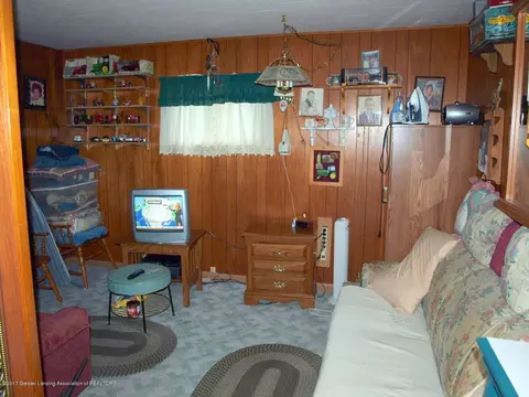 225 N Franklin St, Maple Rapids, MI 48853 photo 12