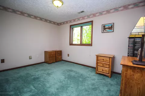 95 E Newman Rd, Williamston, MI 48895 photo 40
