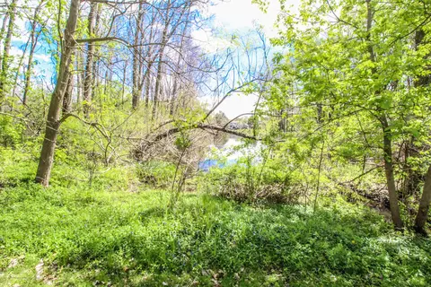 95 E Newman Rd, Williamston, MI 48895 photo 44