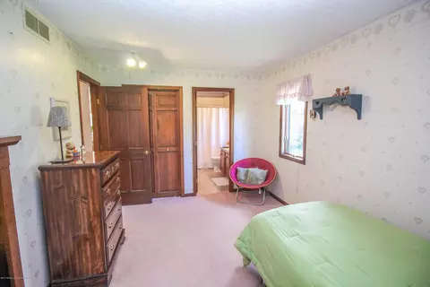 95 E Newman Rd, Williamston, MI 48895 photo 30