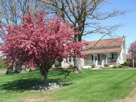 3641 E Walker, Saint Johns, MI 48879 photo 1