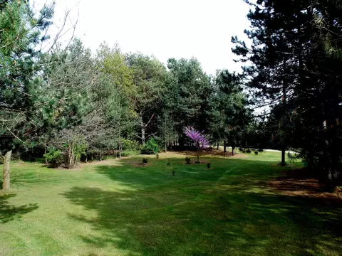 12500 S Wacousta Rd, Eagle, MI 48822 photo 19