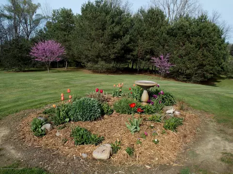 12500 S Wacousta Rd, Eagle, MI 48822 photo 25