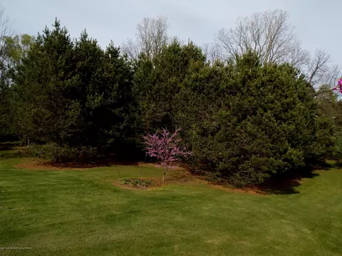 12500 S Wacousta Rd, Eagle, MI 48822 photo 23