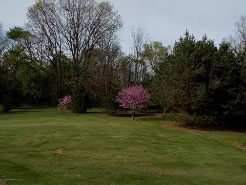 12500 S Wacousta Rd, Eagle, MI 48822 photo 22