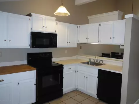 1194 Academic Way, Haslett, MI 48840 photo 4