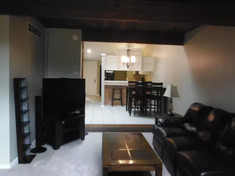 1194 Academic Way, Haslett, MI 48840 photo 10