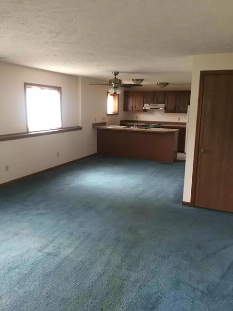 206 W Madison St, Dewitt, MI 48820 photo 12