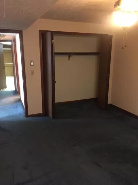 206 W Madison St, Dewitt, MI 48820 photo 10