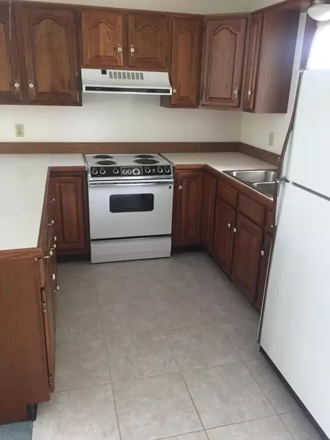 206 W Madison St, Dewitt, MI 48820 photo 8