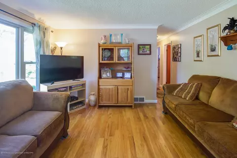 12393 S Ruppert Rd, Perry, MI 48872 photo 4