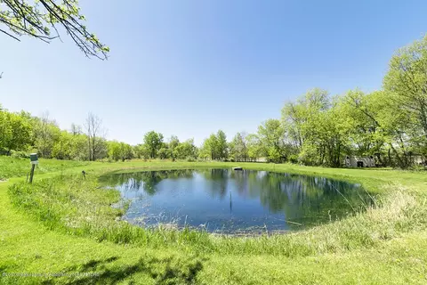 6183 W Britton Rd, Perry, MI 48872 photo 21