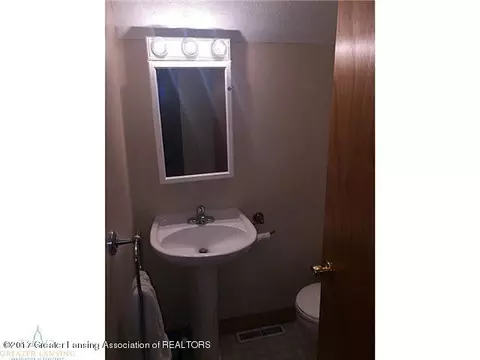 310 Ewen, Maple Rapids, MI 48853 photo 21