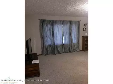 310 Ewen, Maple Rapids, MI 48853 photo 8