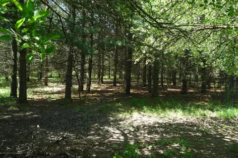 12284 W Cutler Rd, Eagle, MI 48822 photo 5