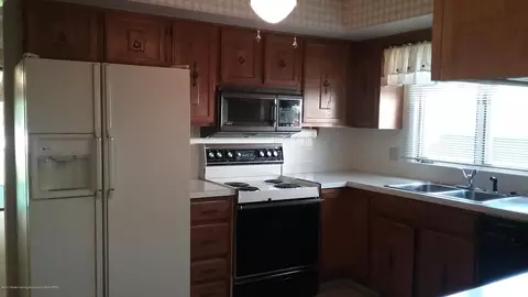 3300 Hitching Post, Dewitt, MI 48820 photo 5