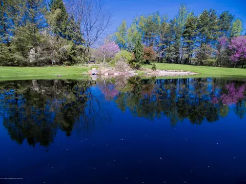 4631 Barton Rd, Williamston, MI 48895 photo 36