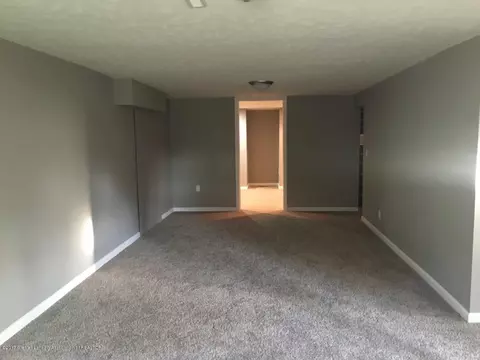 14062 Everett, Dewitt, MI 48820 photo 22