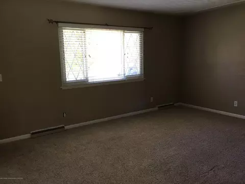 14062 Everett, Dewitt, MI 48820 photo 7