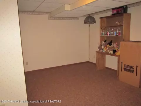13057 Old Hickory Trl, Dewitt, MI 48820 photo 19