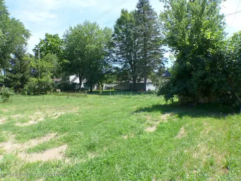 723 Williams, Williamston, MI 48895 photo 3