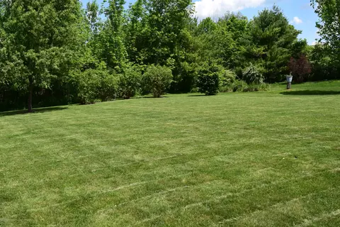 5561 Wild Iris Ln, Haslett, MI 48840 photo 56