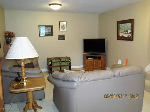 12318 Sea Pines Dr, Dewitt, MI 48820 photo 25