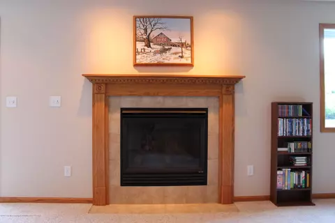 3668 Danbridge Dr, Lansing, MI 48906 photo 24