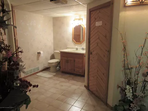8834 W Howe Rd, Eagle, MI 48822 photo 14