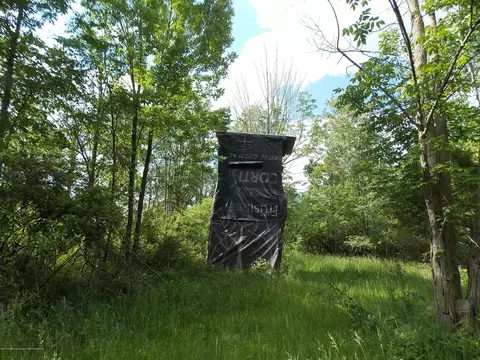 8630 W Cutler Rd, Dewitt, MI 48820 photo 39