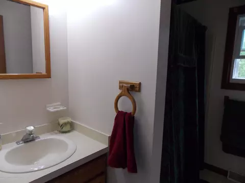8630 W Cutler Rd, Dewitt, MI 48820 photo 19