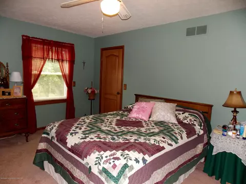 8630 W Cutler Rd, Dewitt, MI 48820 photo 18