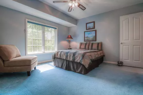 407 W Dill Dr, Dewitt, MI 48820 photo 17